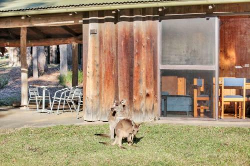 Corrib Woodbine Park