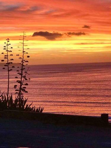 Sunset Ocean Views Esplanade 5 Br Sleeps 10