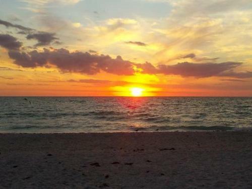 Casey's Fun 'n Sun Bungalow- - Pet Friendly