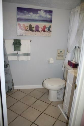 Apartamento Snowy Egret Tropical 1 - Pet Friendly