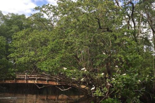 Beach House Bungalow With Pool North Miami Beach