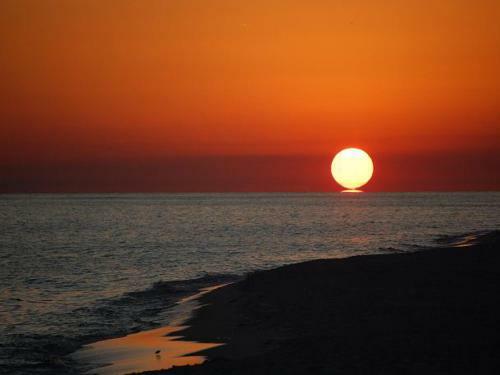 Apartamento The Pearl Of Navarre #1203