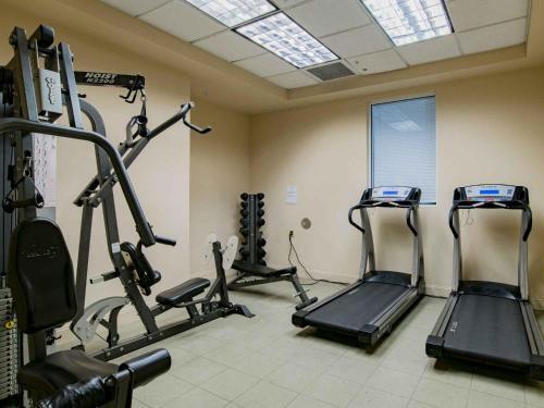 Apartamento Perdido Sun #208