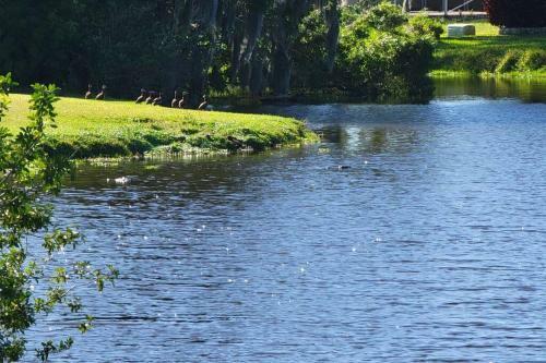 Lovely 2bed/2bth On Golf Course In Rotonda West