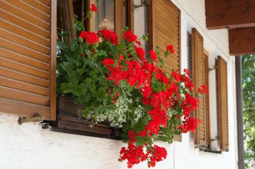 Apartamento Haus Wendelin