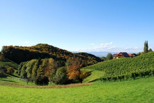 Hotel Weingut Winzerzimmer Rothsch�dl