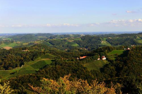 Hotel Weingut Winzerzimmer Rothsch�dl
