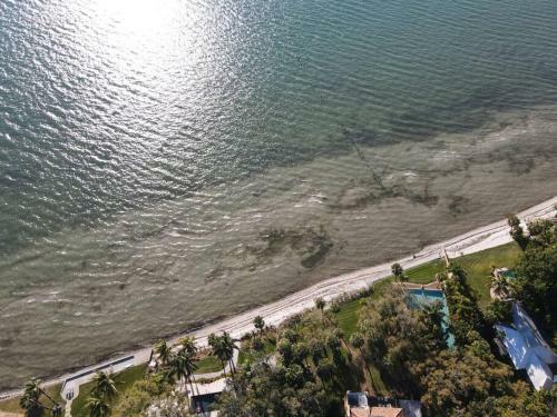 Tropical Oasis Walk To Indian Beach Shores Ringling Museum