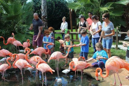 Tropical Oasis Walk To Indian Beach Shores Ringling Museum