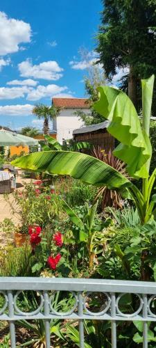 Apartamento Grahl�s Ferienwohnung