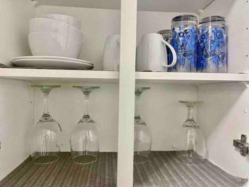 Newly Luxury 1 Bedroom Apartment!