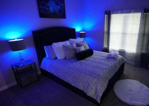 Newly Luxury 1 Bedroom Apartment!