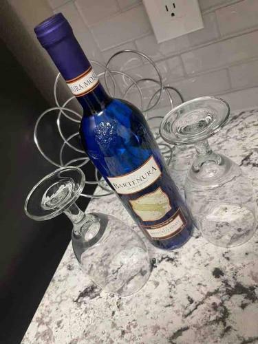 Newly Luxury 1 Bedroom Apartment!