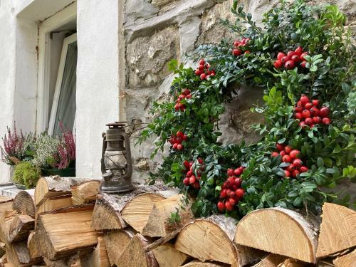 Hostal Vila Ad�lka - �tuln� Chalupa V Krkono?�ch