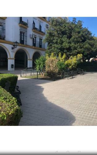 Apartamento Piso De 3 Dormitorios