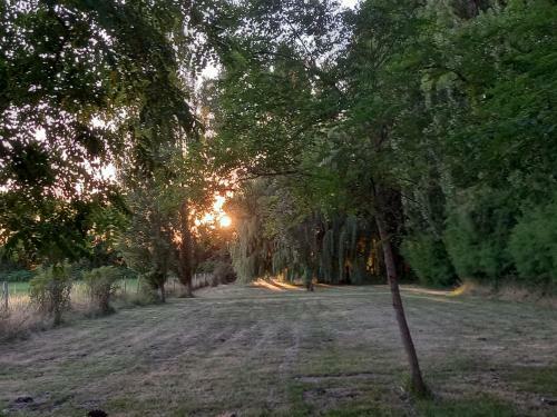 G�te Cocooning Au C?ur De La Nature