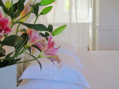Porto Scoutari Romantic Hotel
