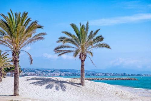 Apartamento Charmant Studio En Plein Coeur De Cagnes-sur-mer
