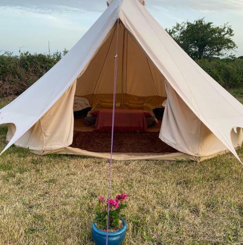 Wild Goose Campsite