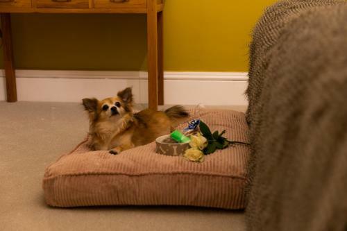 All Seasons Boutique Hotels