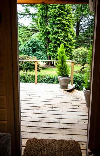 Firlands Cabin