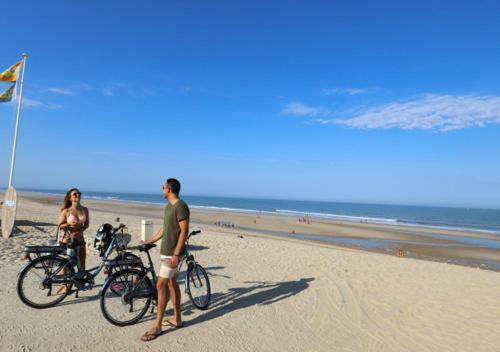 Chalet Dans La Pin�de Entre Lac Et Oc�an