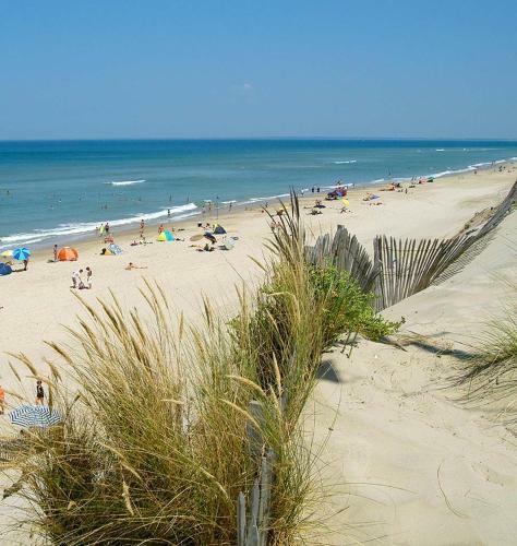 Chalet Dans La Pin�de Entre Lac Et Oc�an