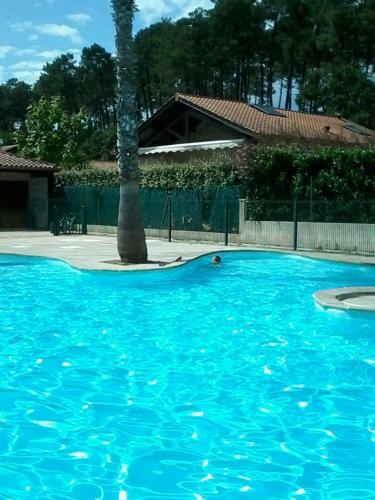 Apartamento Appartement Capbreton