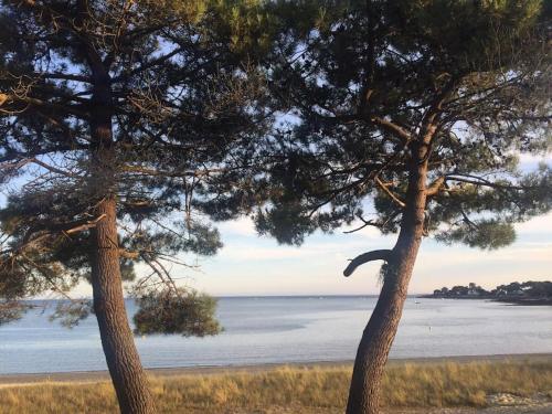 Apartamento Appartement Des M�galithes - Carnac -