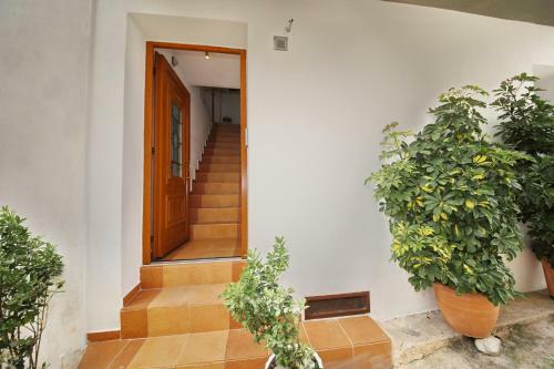 Traditional City Centre House