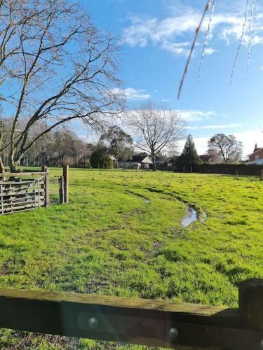 The Little Cottage - Peaceful, Dog Friendly In 3 Acres