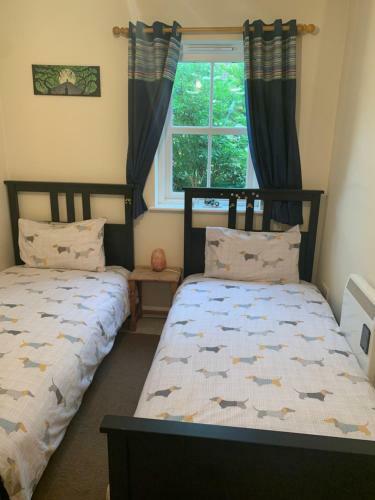 Glastonbury Town Center-entire Apartment