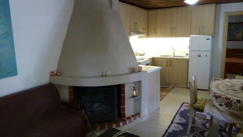 Traditional House With Fireplace And Garden