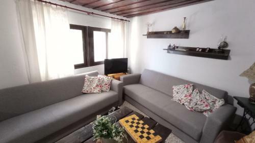 Traditional House With Fireplace And Garden