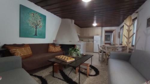 Traditional House With Fireplace And Garden