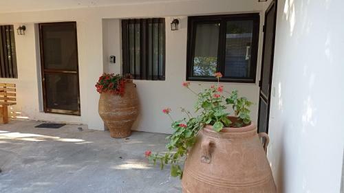 Traditional House With Fireplace And Garden