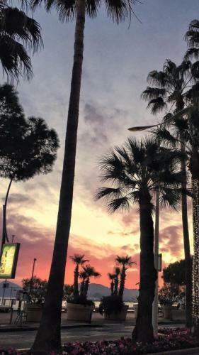 Charming Apartment 50 Mt Palais Des Festivals
