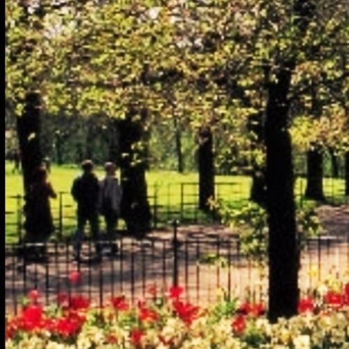 Apartamento Perfect In The Park