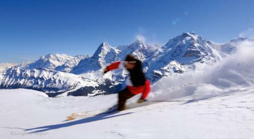 Camping Jungfrau - Holiday Park