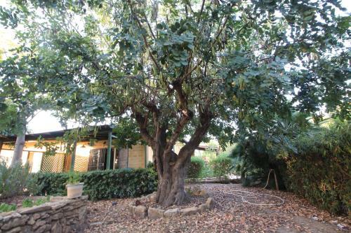 B&B Villa Carlotta Resort