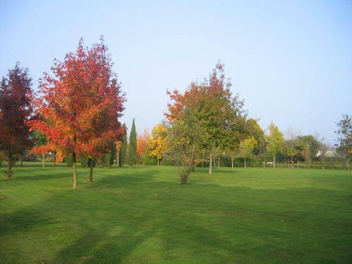 Hotel Del Parco Ristorante Loris