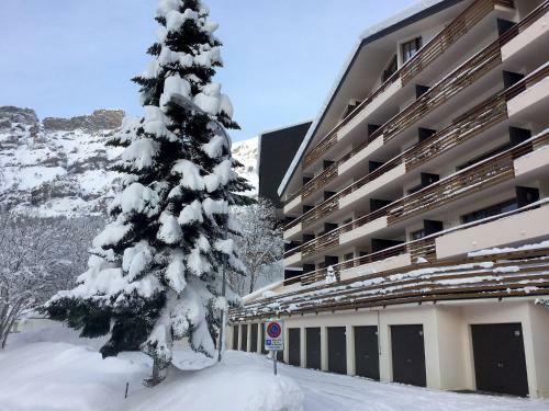 Apartamento Goppenstrasse 9