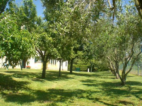 Bed & Breakfast I Ciliegi