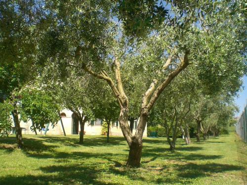 Bed & Breakfast I Ciliegi