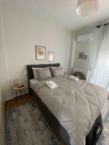Luxury Apartments 1 Volos