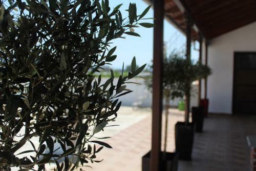 Apartamento Nomo Luxury Suite