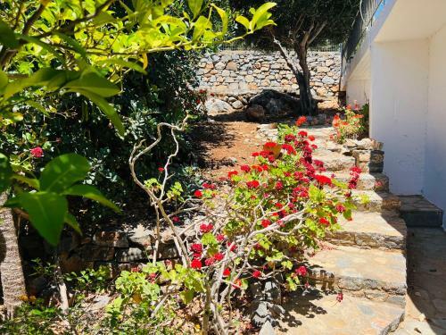 Beautiful Villa Hylios With Stunning Sea View!