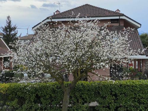 Apartamento Il Ciliegio Relax & Wellness