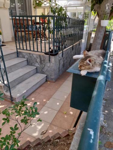 Apartamento Friendly Philoxenia
