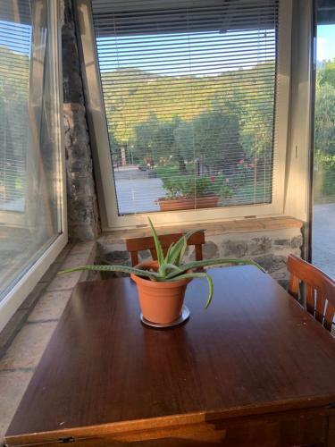 Apartamento Casetta Negli Ulivi